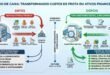 Infográfico demonstrando o fluxo de recuperação de créditos de PIS e COFINS sobre diesel, pneus, manutenção e subcontratação para transportadoras.